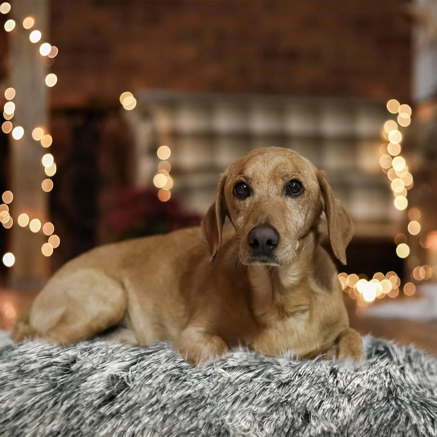 Beige 41”×27” Washable Plush Dog Bed Crate Mat For Large Dogs