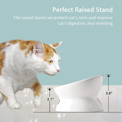 Cat Food Bowls, 10 OZ Elevated Cat Bowls for Cats and Small Dogs, Tilted Pet Feeder Bowl with Raised Stand Protect Cat'S Spine, Ceramic Cat Water Bowl No-Spill, Stress Free Cat Dish 1Pcs