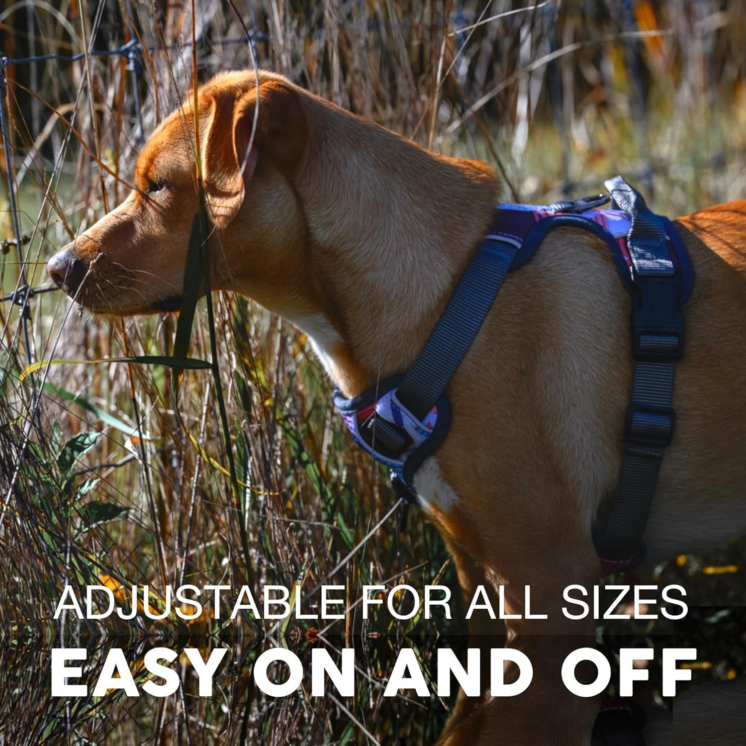 Embark Reflective No-Pull Harness for Small Dogs