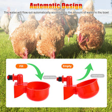 12X Chicken Automatic Watering Cups, Drinker Waterer, for Duck Quail Hen Poultry