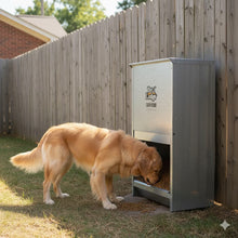 Chew-Proof 50 lb Automatic Dog Feeder with Pest Guard