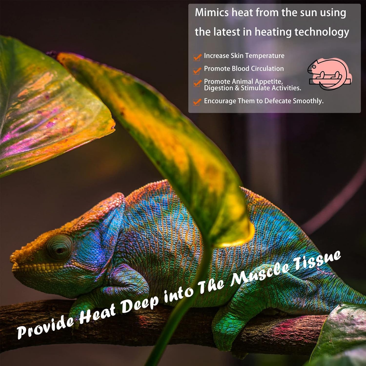 Deep Heat Projector Reptile Heat Lamp Bulb (DHP 130W, PAR38), Basking Light for Bearded Dragon & Leopard Gecko, Carbon Infrared Heater for Amphibian Pet