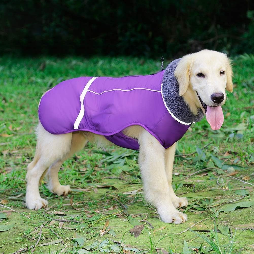 Warm Dog Coat - Reflective, Waterproof Winter Turtleneck Jacket for Cold Weather, Thick Fleece Snowsuit & Christmas Vest for Small to Large Dogs