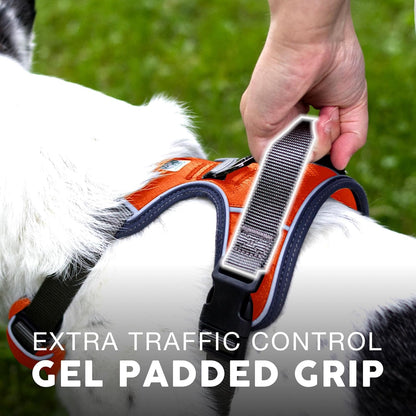 Embark Reflective No-Pull Harness for Small Dogs
