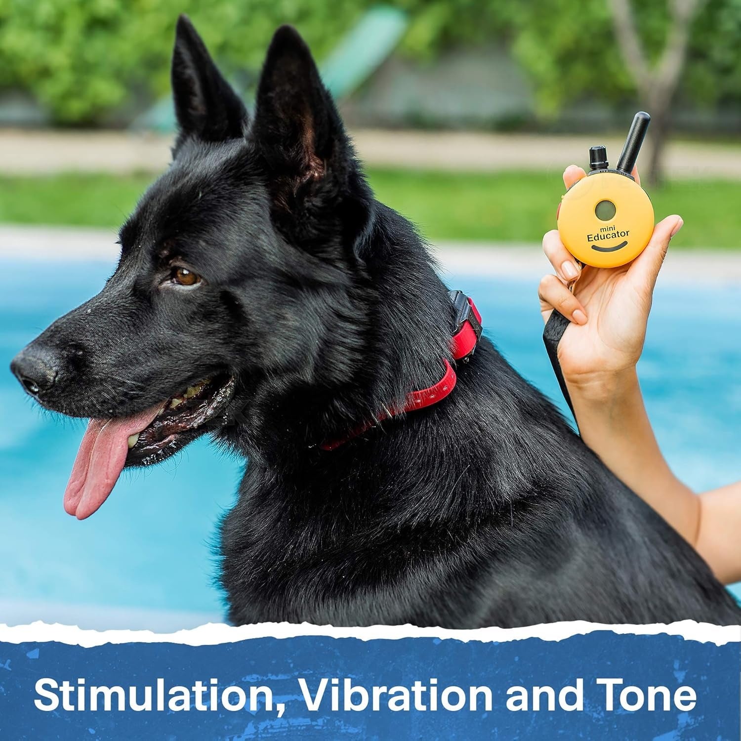 ET-300 Mini E Collar for Dog Training with Remote - 1/2 Mile Range, Waterproof, 100 Blunt Stimulation Levels, Tone or Vibration Mode, Night Light Tracking for Small, Medium & Large Dogs