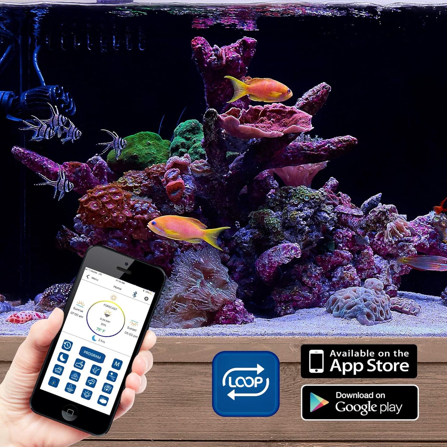 USA Dual 72" Inch Orbit Marine PRO IC Loop LED Saltwater Reef Marine Aquarium Light with Bluetooth App Control | Wireless Lighting & Eflux Wave Pump Control for Fish Tank (4338)