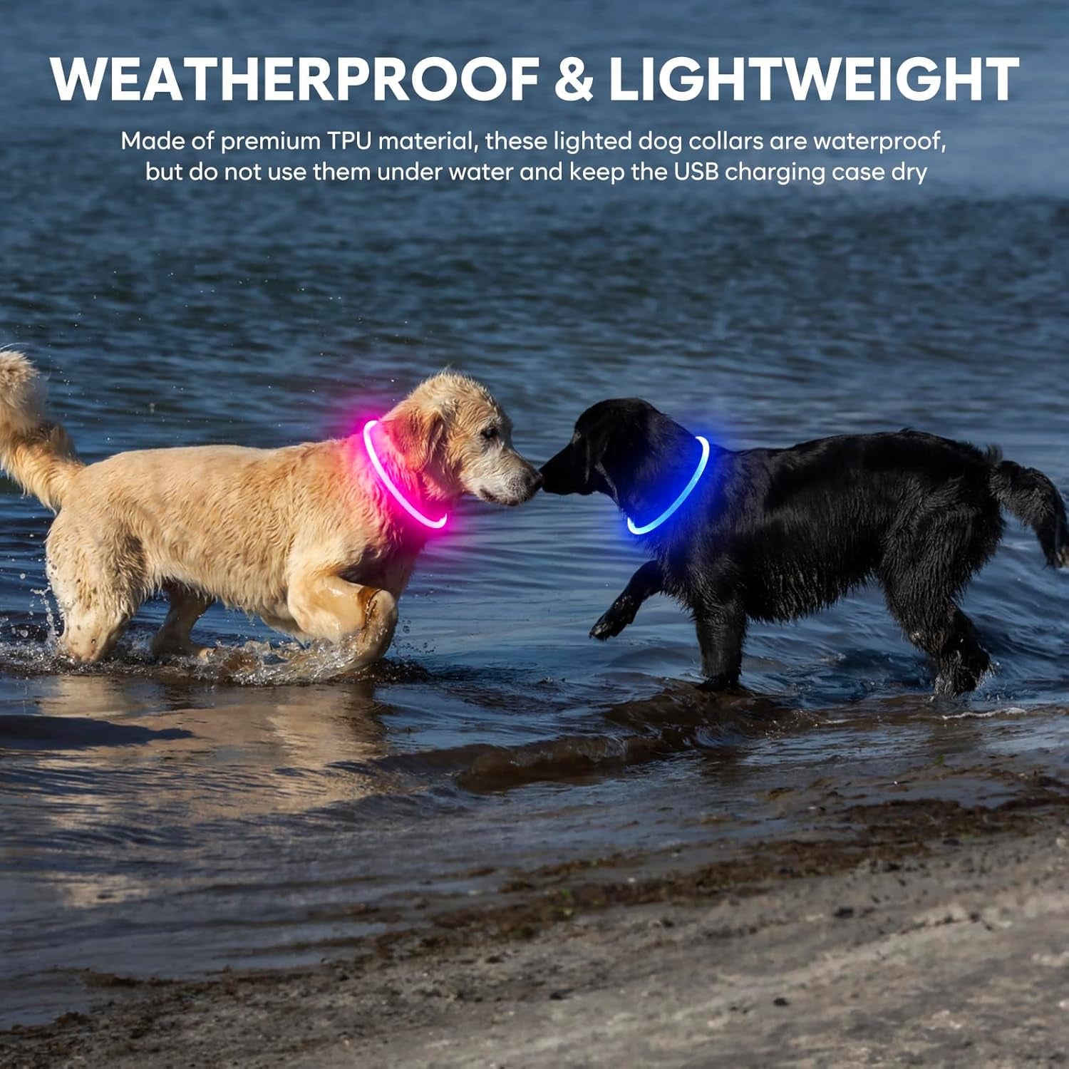 Rechargeable Waterproof LED Dog Collar for Night Visibility (Pink)