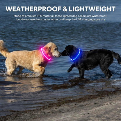 Rechargeable Waterproof LED Dog Collar for Night Visibility (Pink)