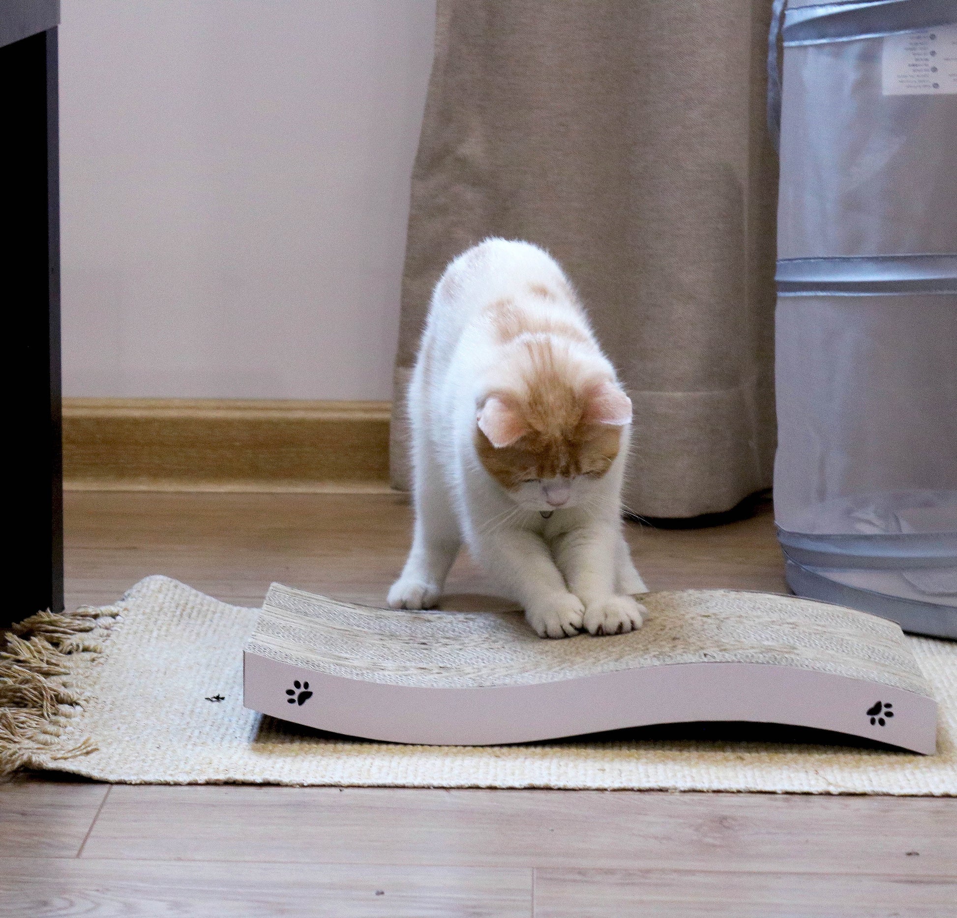 Cat Scratcher Cardboard with Premium Scratch Textures Design, Durable, Reversible