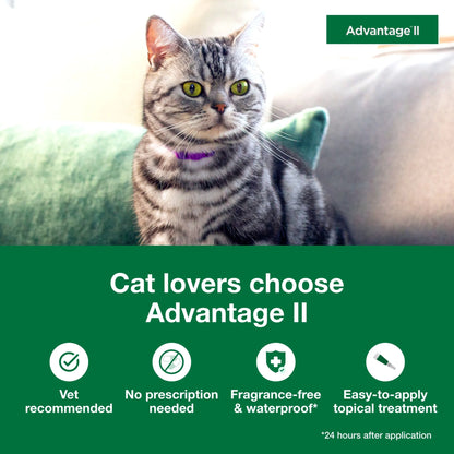 Vet-Recommended Flea Prevention for Large Cats 9 Lbs+, 4-Monthly Treatments