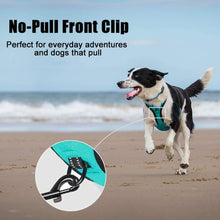 Mint Blue No-Pull Reflective Dog Harness with Handle