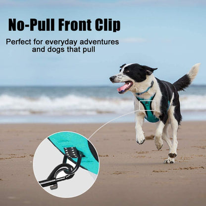 Mint Blue No-Pull Reflective Dog Harness with Handle