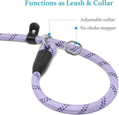 Lavender Slip Lead Dog Leash 1/2" x 6 FT