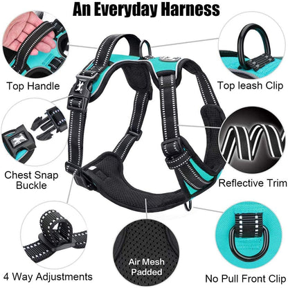 Mint Blue No-Pull Reflective Dog Harness with Handle