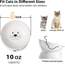 Cat Food Bowls, 10 OZ Elevated Cat Bowls for Cats and Small Dogs, Tilted Pet Feeder Bowl with Raised Stand Protect Cat'S Spine, Ceramic Cat Water Bowl No-Spill, Stress Free Cat Dish 1Pcs