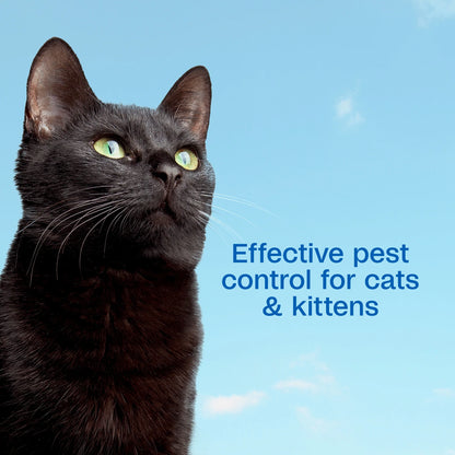 plus Flea & Tick Foaming Shampoo & Wash for Cats & Kittens over 12 Weeks, Sensitive Skin Flea Treatment for Cats & Kittens, Kills Adult Fleas, Ticks and Lice on Contact, 10 Fluid Ounces