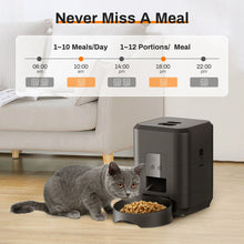 HEYBO Smart Pet Feeder | Automatic, 2L Capacity for Cats & Dogs