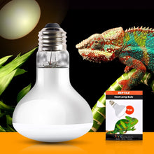 Reptile Heat Lamp Bulb 75 Watt