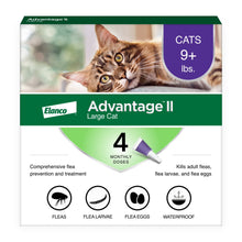 Vet-Recommended Flea Prevention for Large Cats 9 Lbs+, 4-Monthly Treatments