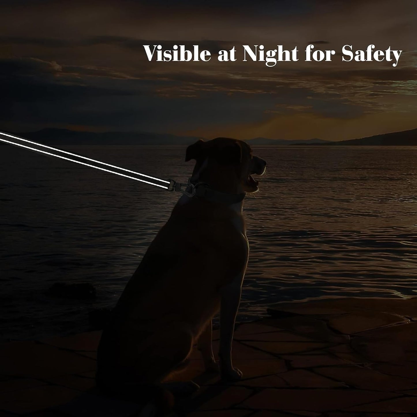 4FT Heavy-Duty Reflective Dog Leash, Double Handle, Red