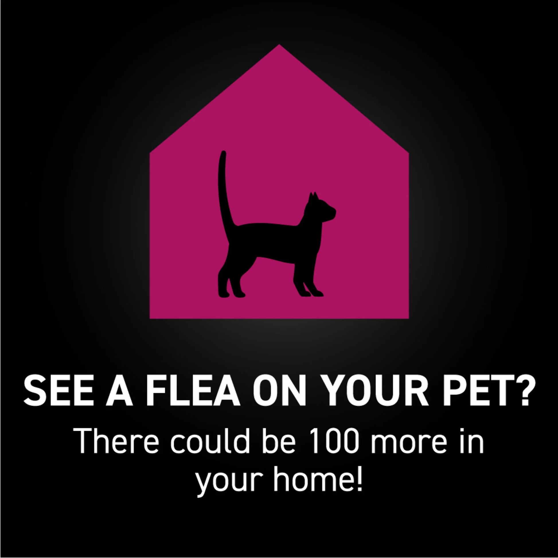 Flea & Tick Topical Prevention for Cats over 3.5 Lbs, 1-Month Supply
