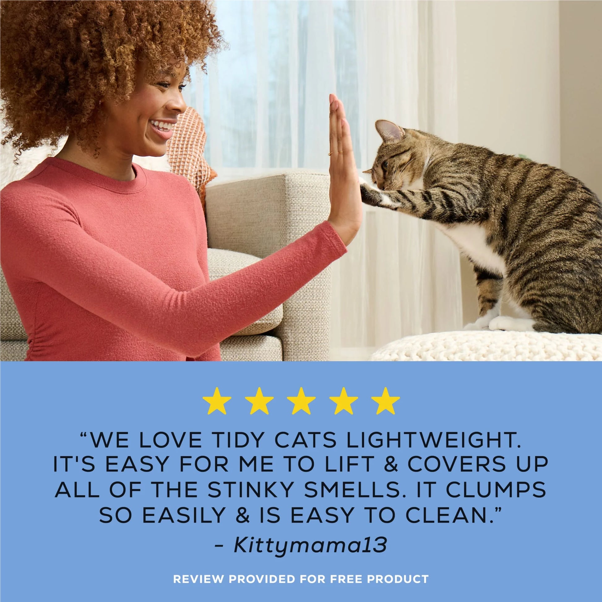 Purina  Lightweight Clumping Cat Litter, Unscented, 8.5 Lb Jug