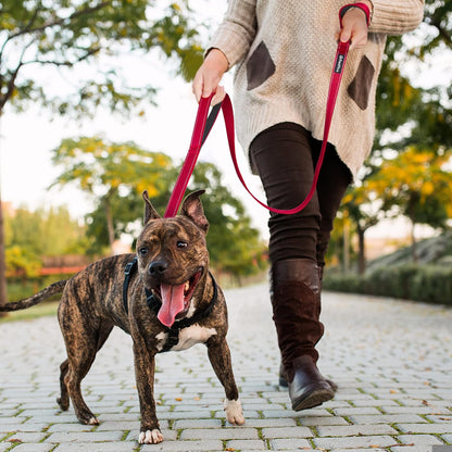 4FT Heavy-Duty Reflective Dog Leash, Double Handle, Red