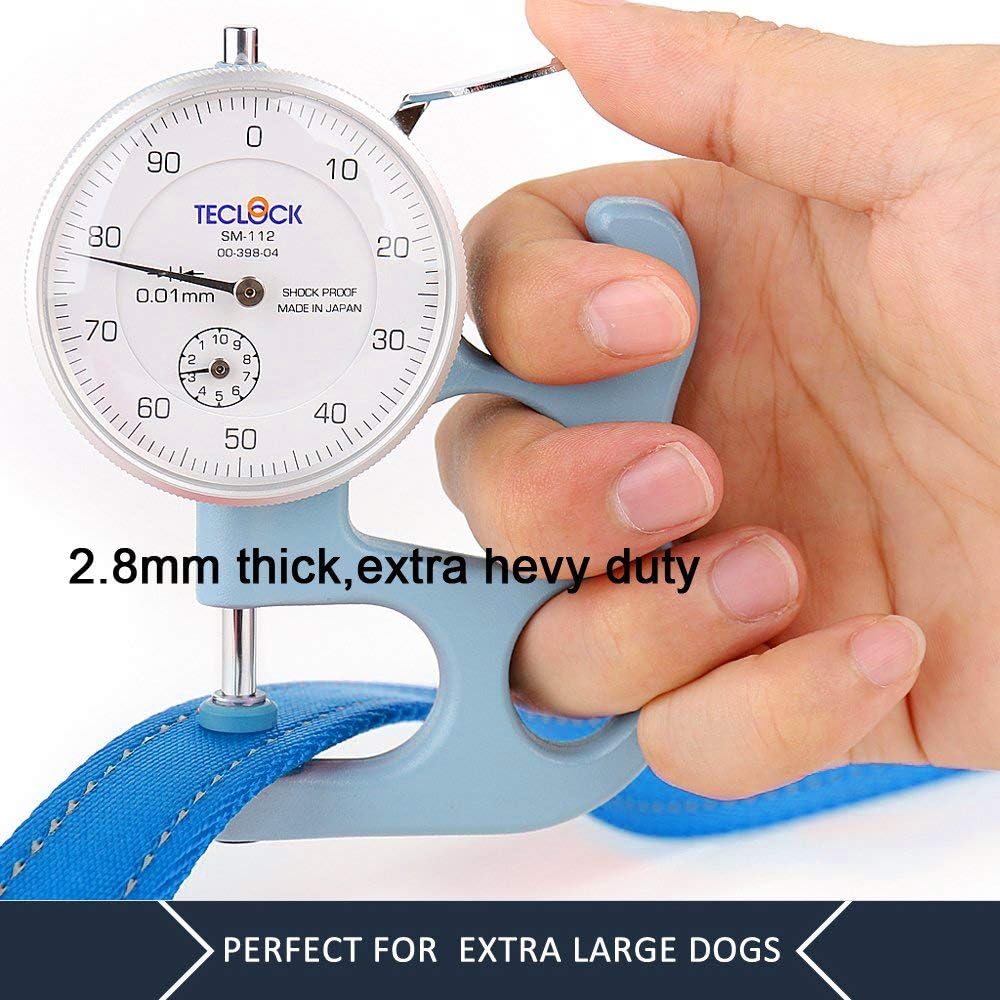 6-Foot Double-Handle Reflective Dog Leash for Control