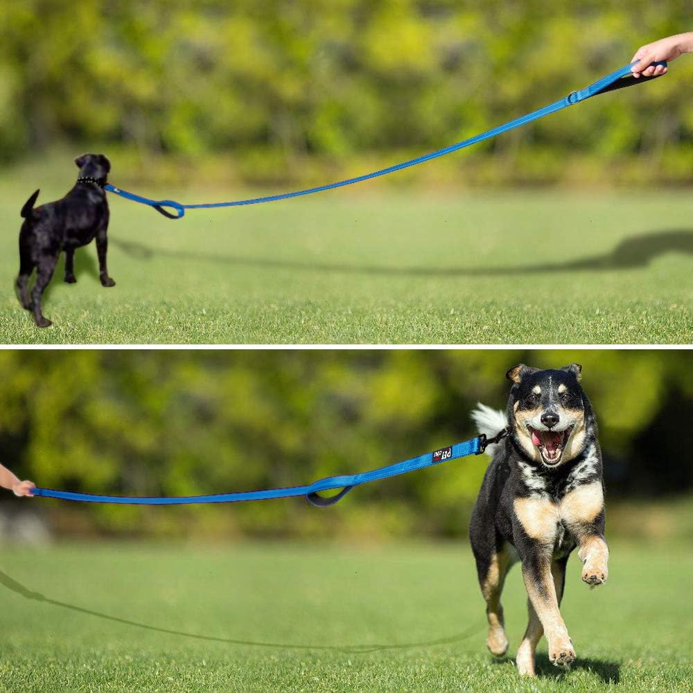6-Foot Double-Handle Reflective Dog Leash for Control