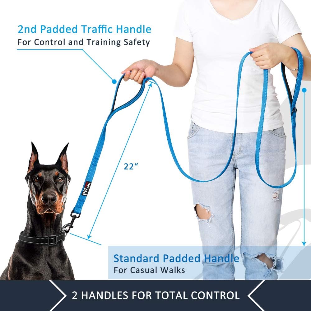 6-Foot Double-Handle Reflective Dog Leash for Control
