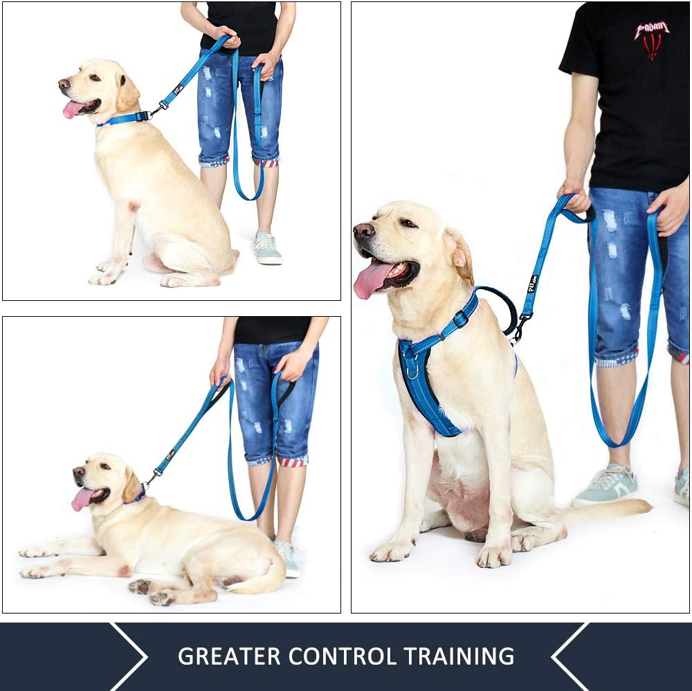 6-Foot Double-Handle Reflective Dog Leash for Control