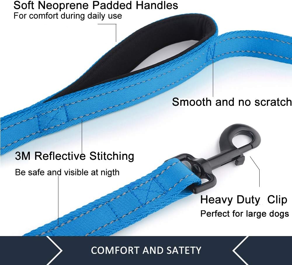 6-Foot Double-Handle Reflective Dog Leash for Control