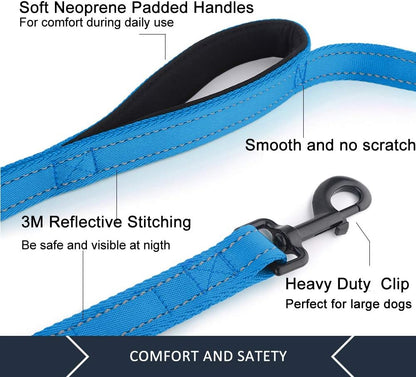 6-Foot Double-Handle Reflective Dog Leash for Control