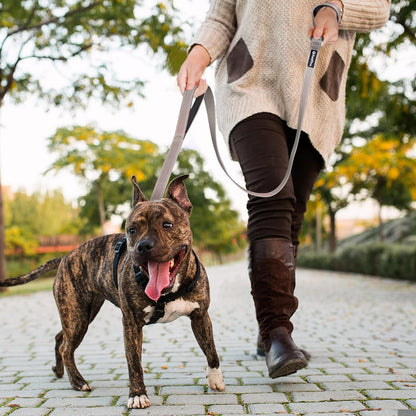 4FT Heavy Duty Reflective Dog Leash, Grey, Double Handle