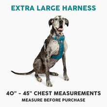 Embark XL No-Pull Dog Harness With Reflective Trim