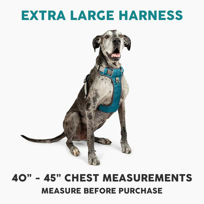 Embark XL No-Pull Dog Harness With Reflective Trim
