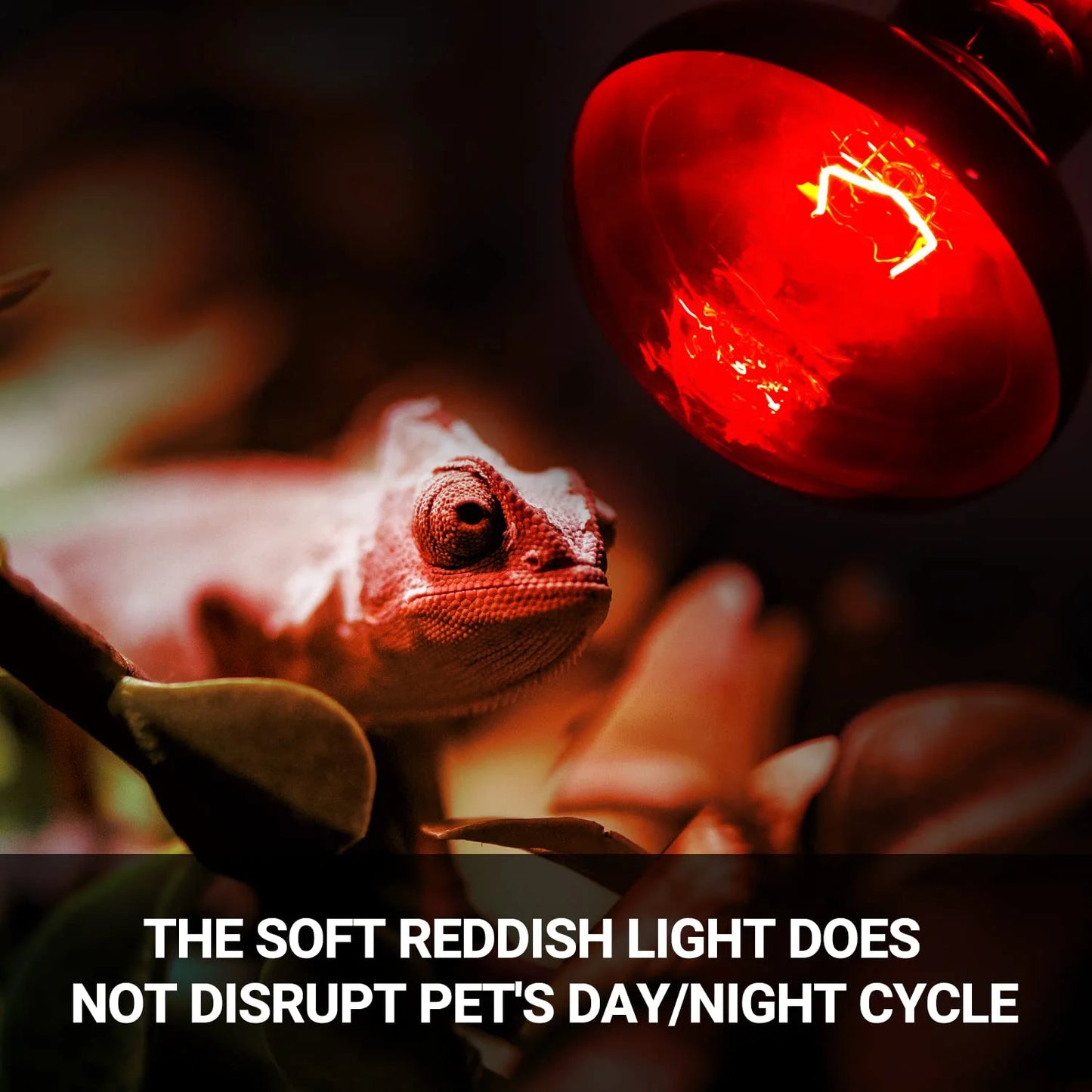 Reptile Heat Lamp 100W, 2Pcs E26 Basking Spot Light, Infrared Heat Lamp, Red