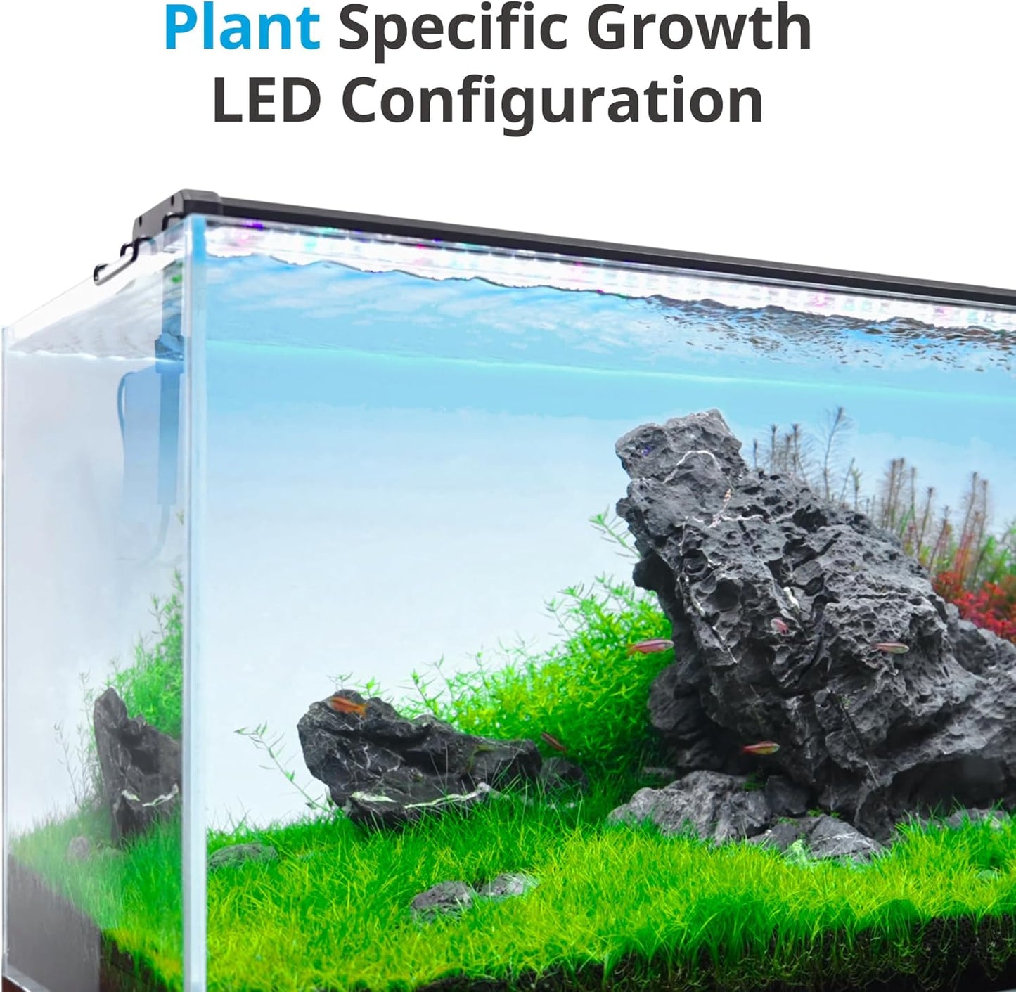 Classicled plus LED Aquarium Light with Timer, 32 Watts, for 48 to 54 Inch Fish Tank Light, Daylight and Moonlight Cycle