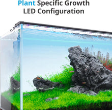 Classicled plus LED Aquarium Light with Timer, 32 Watts, for 48 to 54 Inch Fish Tank Light, Daylight and Moonlight Cycle