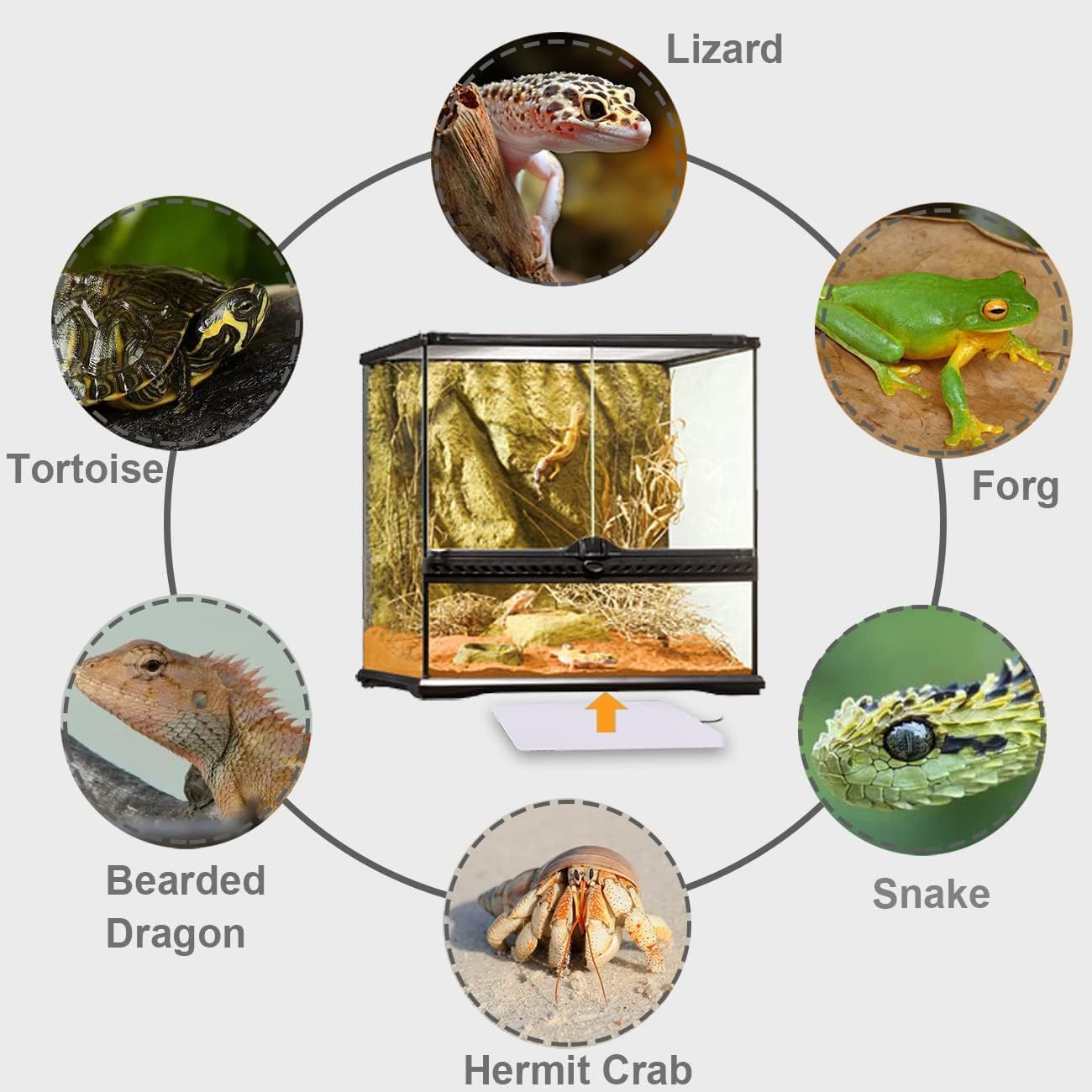 Reptile Heating Pad - Hermit Crab Heater Heat Mat for Reptiles Snake Lizard Terrarium 8 Watt