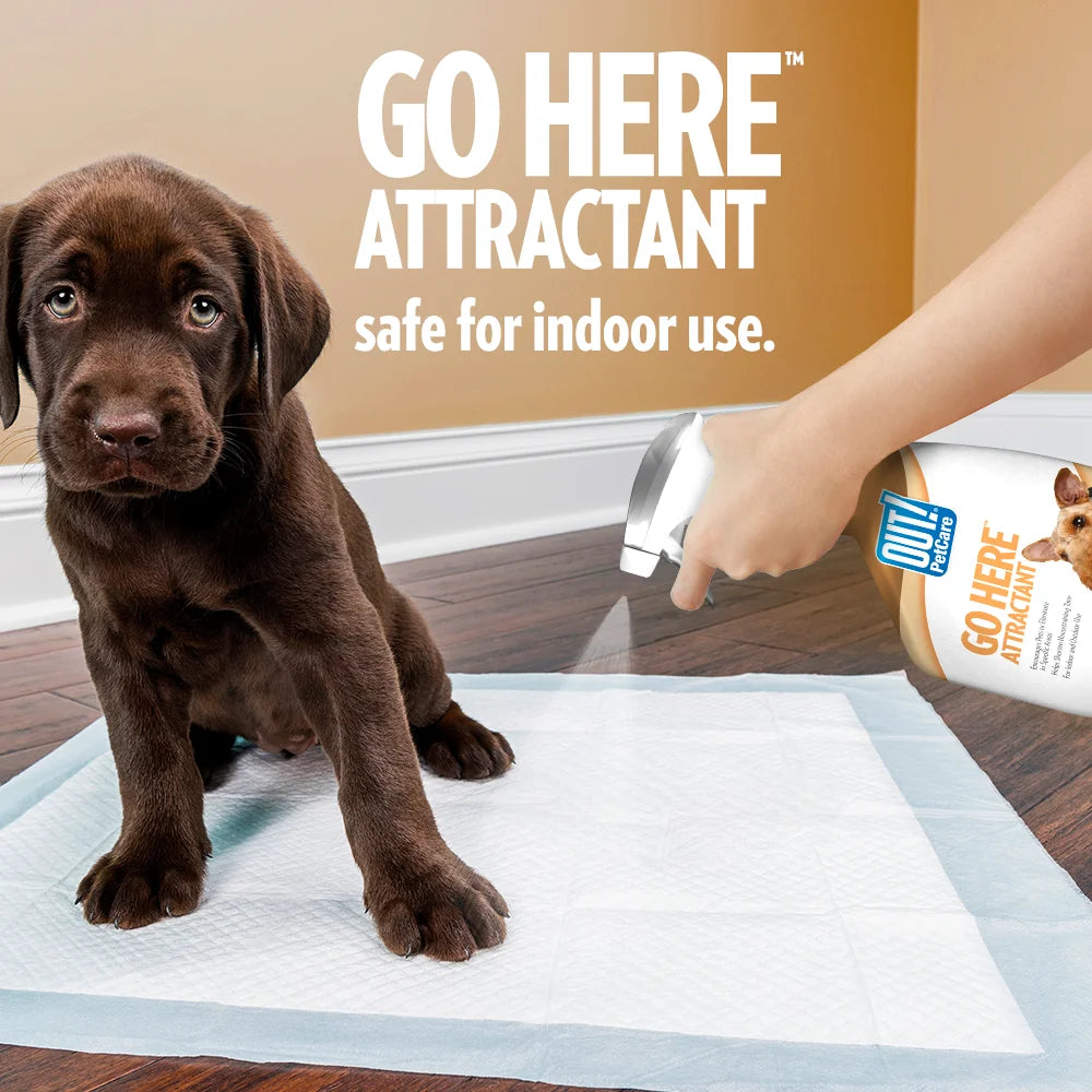 Petcare Go Here Potty Training Attractant Spray, 32Oz.