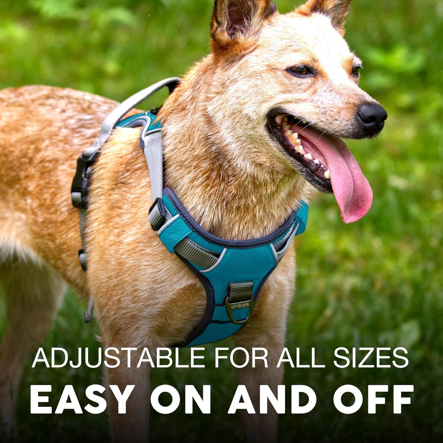 Embark XL No-Pull Dog Harness With Reflective Trim