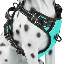 Mint Blue No-Pull Reflective Dog Harness with Handle