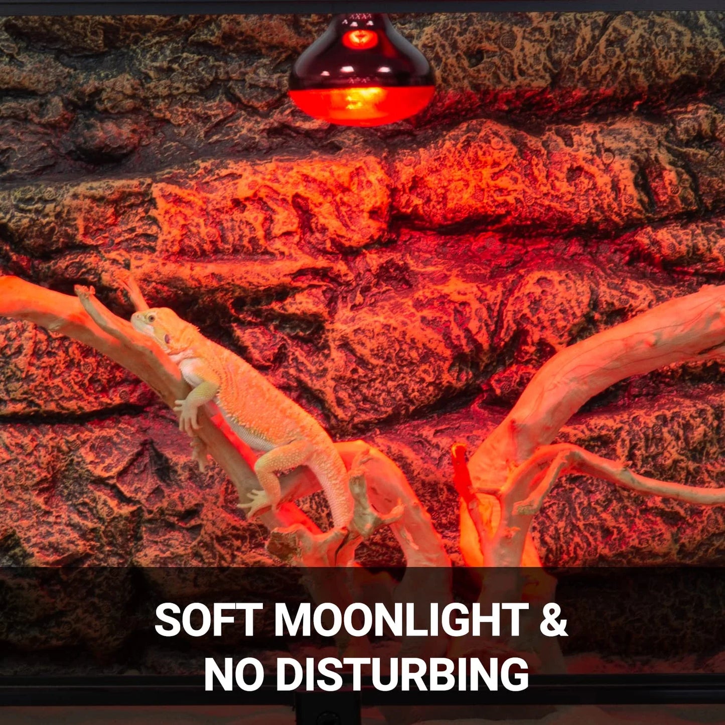 Reptile Heat Lamp 100W, 2Pcs E26 Basking Spot Light, Infrared Heat Lamp, Red