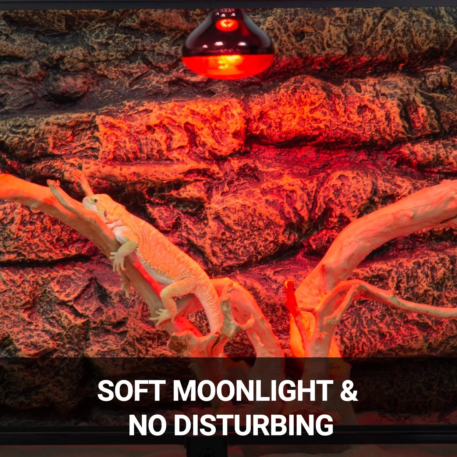 Reptile Heat Lamp 100W, 2Pcs E26 Basking Spot Light, Infrared Heat Lamp, Red