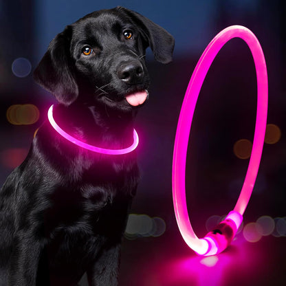 Rechargeable Waterproof LED Dog Collar for Night Visibility (Pink)