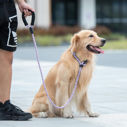Lavender Slip Lead Dog Leash 1/2" x 6 FT