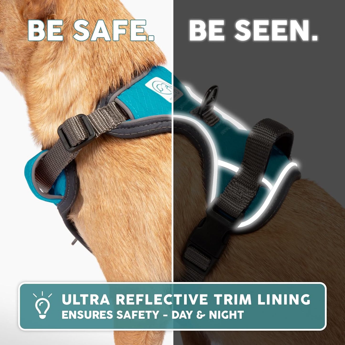 Embark XL No-Pull Dog Harness With Reflective Trim