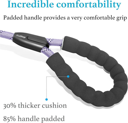 Lavender Slip Lead Dog Leash 1/2" x 6 FT