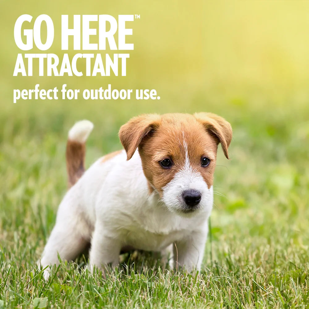 Petcare Go Here Potty Training Attractant Spray, 32Oz.